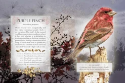 The Little Book of Woodland Bird Songs
