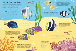 Usborne Picture Puzzles: Book + Puzzle