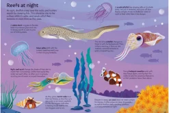 Usborne Picture Puzzles: Book + Puzzle