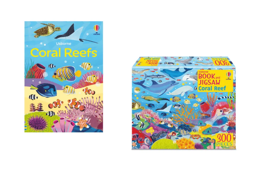Usborne Picture Puzzles: Book + Puzzle