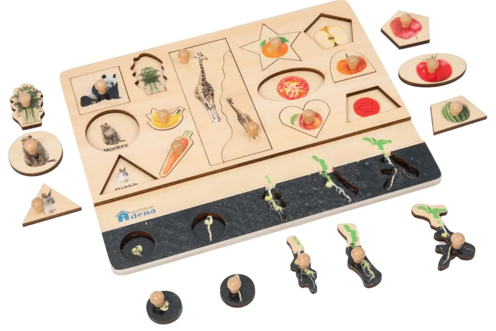 Vocabulary Puzzle - Biology