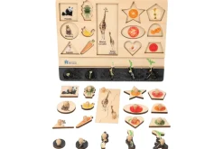 Vocabulary Puzzle - Biology