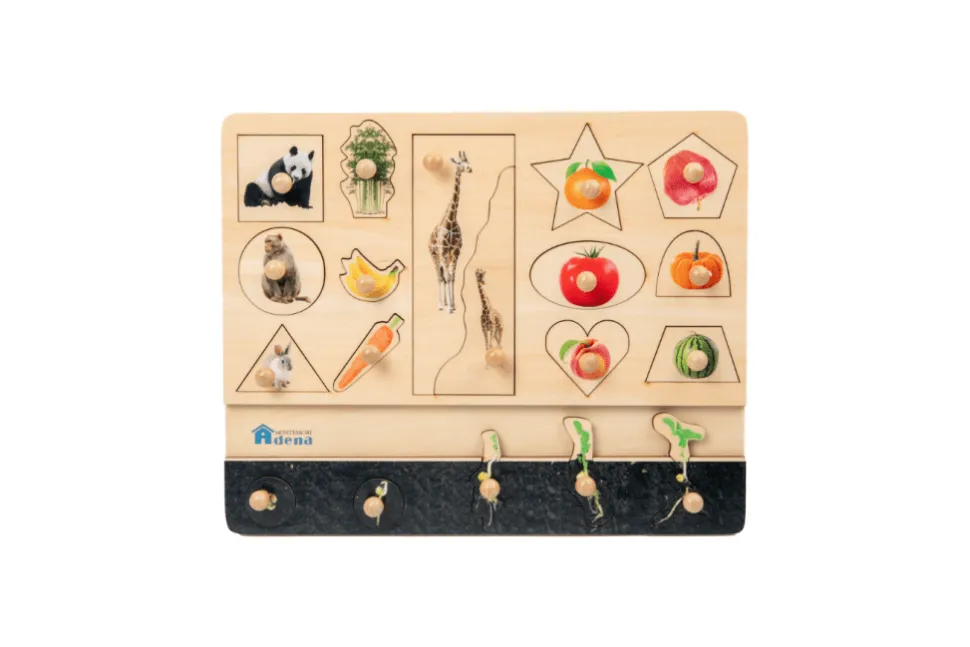 Vocabulary Puzzle - Biology