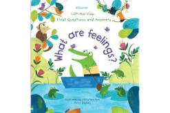 What Are Feelings?