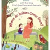 Where Do Babies Come From? by Katie Daynes