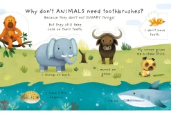 Why Should I Brush My Teeth?