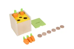 Wooden Box with 2 Lids for Inserting or Dropping