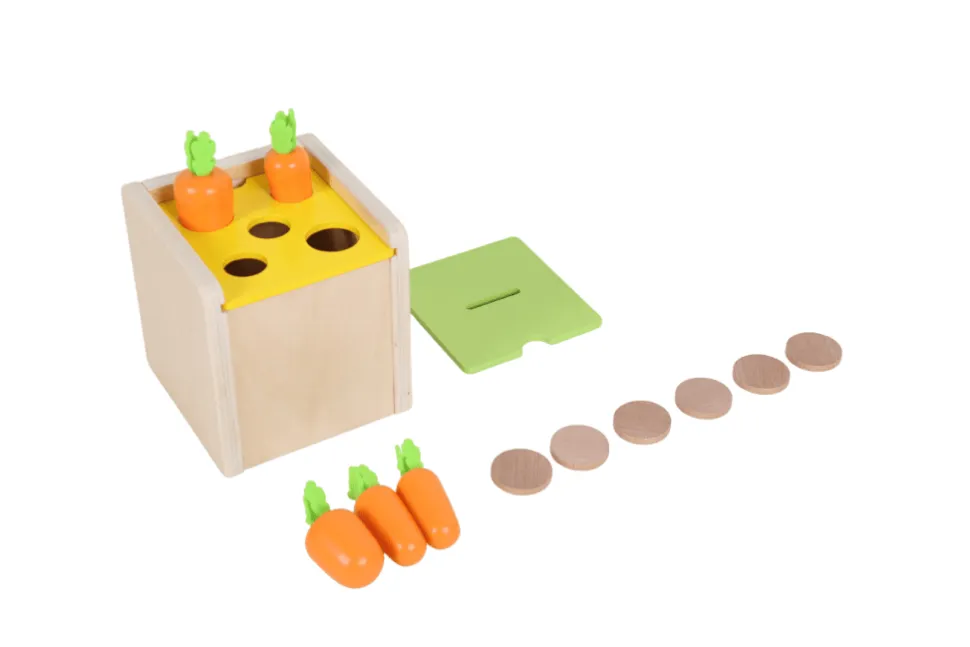 Wooden Box with 2 Lids for Inserting or Dropping