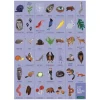 Woodland Forest Search & Find Puzzle