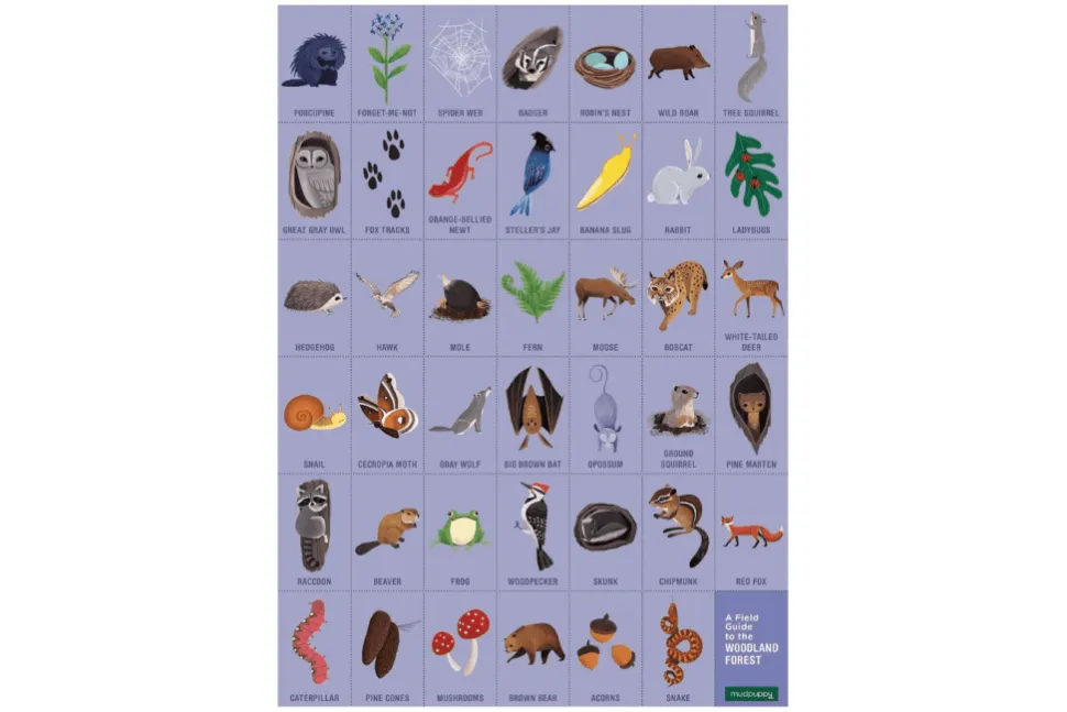 Woodland Forest Search & Find Puzzle
