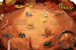 Worm Makes a Sandwich [Hardcover]
