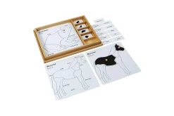 Zoology Puzzle Activity Set (Control Cards & Name Cards)