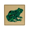 Zoology Puzzle - Parts of the Frog