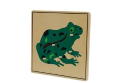 Zoology Puzzle - Parts of the Frog