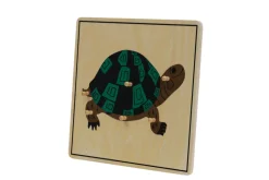Zoology Puzzle - Parts of the Turtle